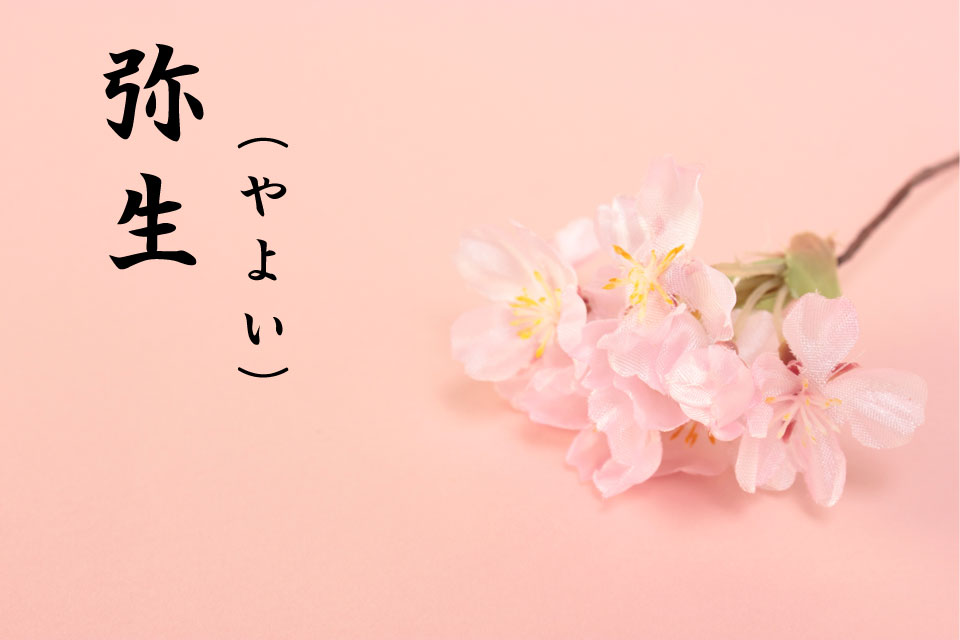 画像イメージ:弥生