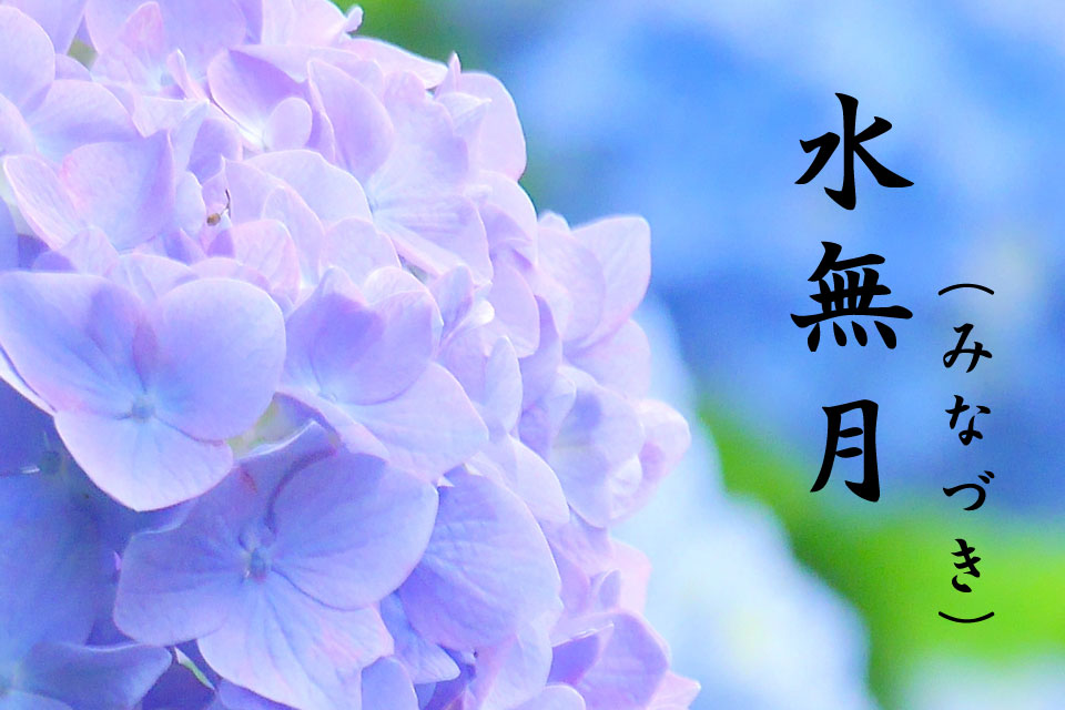 画像:2019年6月イメージ