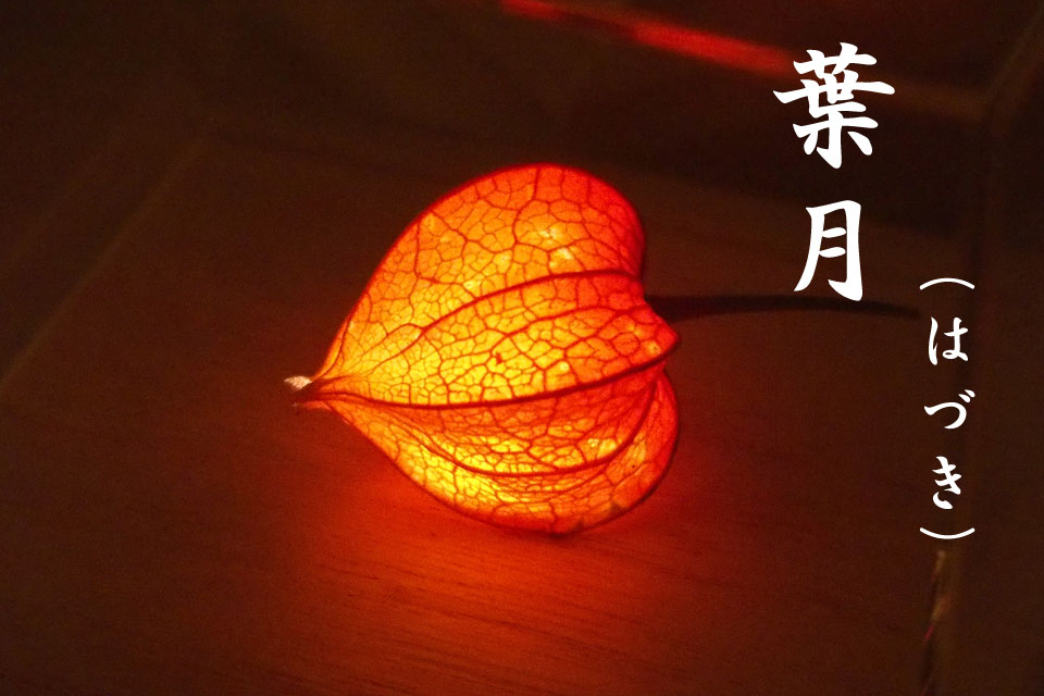 画像イメージ：今月のイメージ