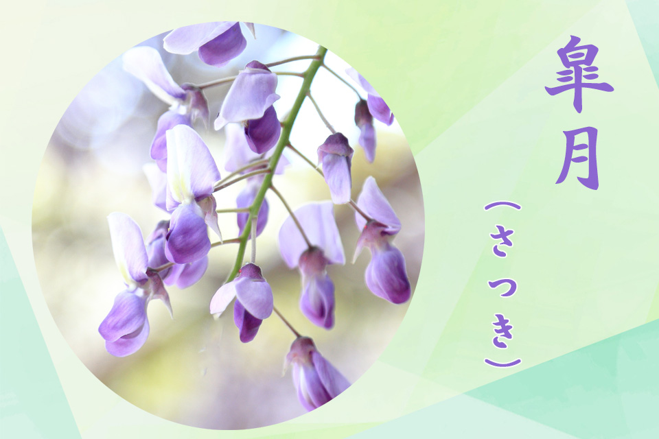 画像イメージ:今月のイメージ