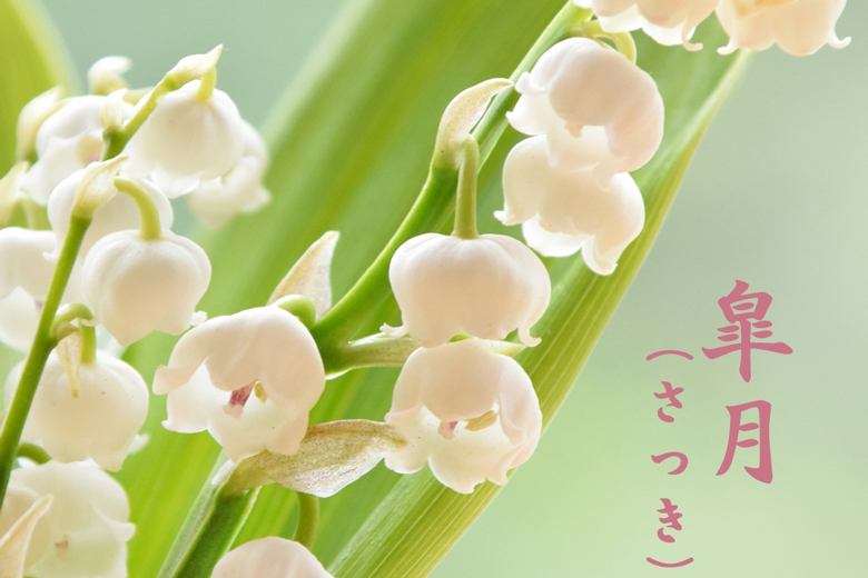 画像イメージ：今月のイメージ